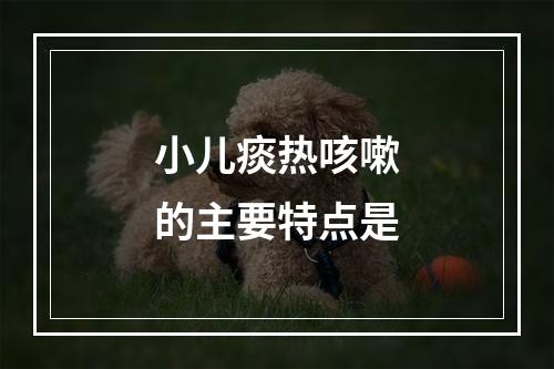 小儿痰热咳嗽的主要特点是