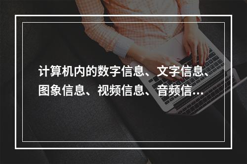 计算机内的数字信息、文字信息、图象信息、视频信息、音频信息等