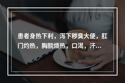 患者身热下利，泻下秽臭大便，肛门灼热，胸脘烦热，口渴，汗多