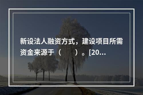 新设法人融资方式，建设项目所需资金来源于（　　）。[2011