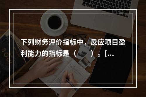 下列财务评价指标中，反应项目盈利能力的指标是（　　）。[20