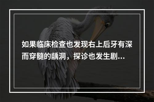 如果临床检查也发现右上后牙有深而穿髓的龋洞，探诊也发生剧痛，