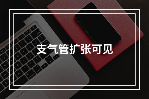 支气管扩张可见