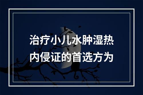 治疗小儿水肿湿热内侵证的首选方为