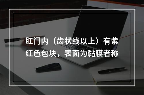 肛门内（齿状线以上）有紫红色包块，表面为黏膜者称