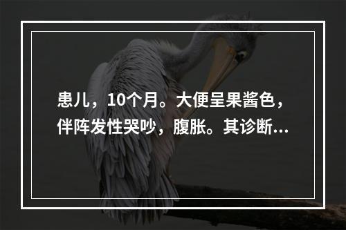 患儿，10个月。大便呈果酱色，伴阵发性哭吵，腹胀。其诊断是