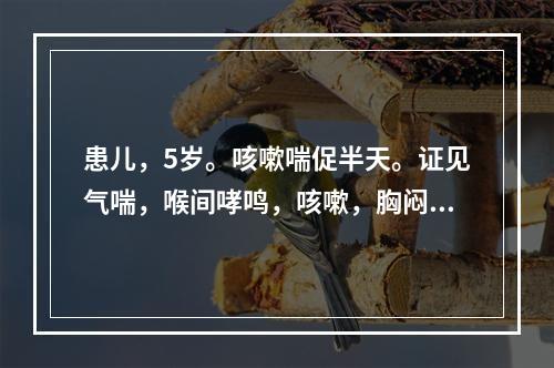 患儿，5岁。咳嗽喘促半天。证见气喘，喉间哮鸣，咳嗽，胸闷，痰