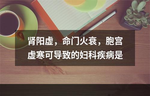 肾阳虚，命门火衰，胞宫虚寒可导致的妇科疾病是