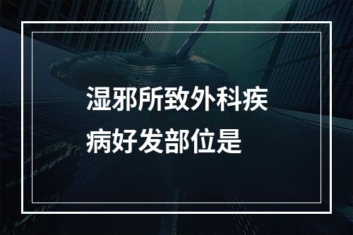 湿邪所致外科疾病好发部位是