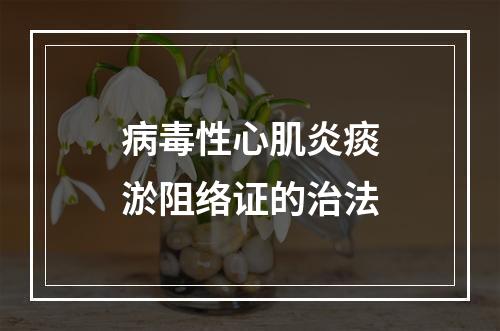 病毒性心肌炎痰淤阻络证的治法