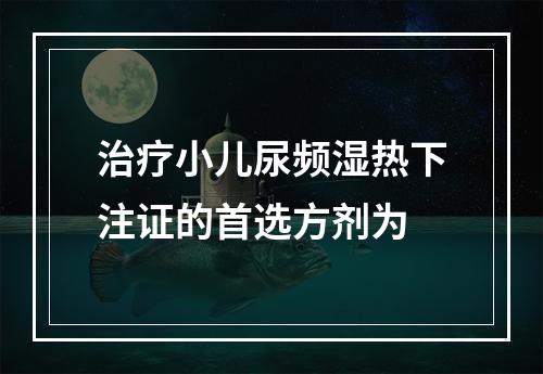 治疗小儿尿频湿热下注证的首选方剂为