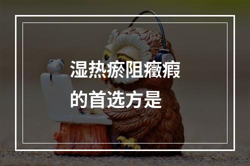 湿热瘀阻癥瘕的首选方是