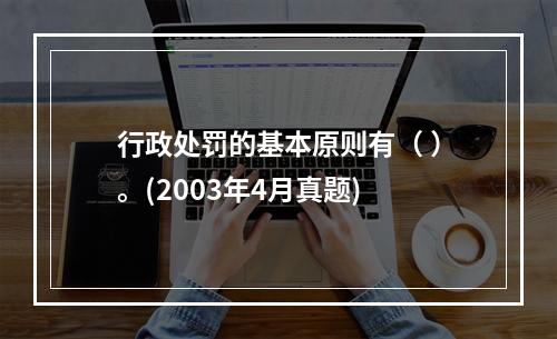 行政处罚的基本原则有（ ）。(2003年4月真题)