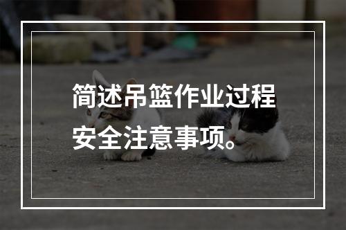 简述吊篮作业过程安全注意事项。