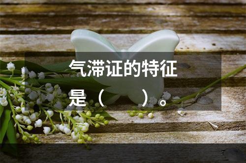 气滞证的特征是（　　）。