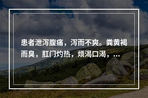 患者泄泻腹痛，泻而不爽。粪黄褐而臭，肛门灼热，烦渴口渴，小