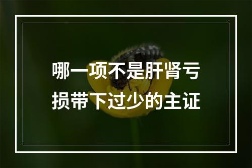 哪一项不是肝肾亏损带下过少的主证