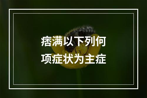 痞满以下列何项症状为主症