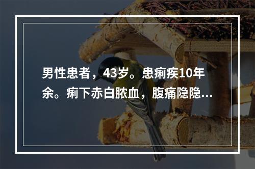 男性患者，43岁。患痢疾10年余。痢下赤白脓血，腹痛隐隐，