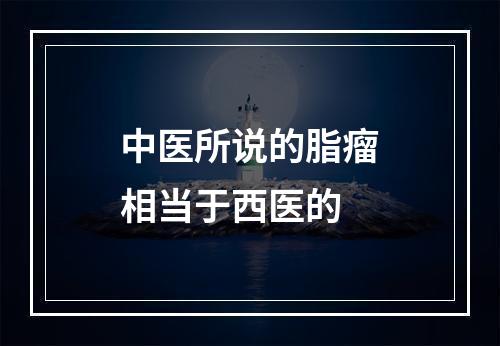 中医所说的脂瘤相当于西医的