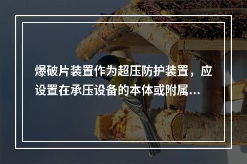 爆破片装置作为超压防护装置，应设置在承压设备的本体或附属管道