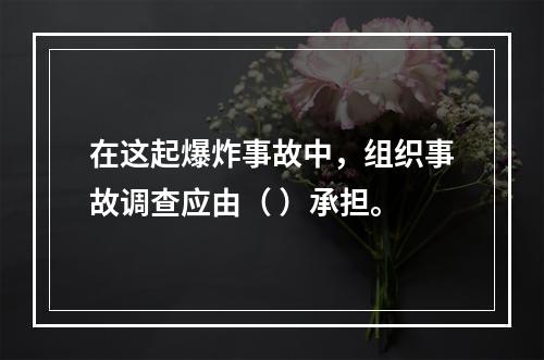 在这起爆炸事故中，组织事故调查应由（	）承担。