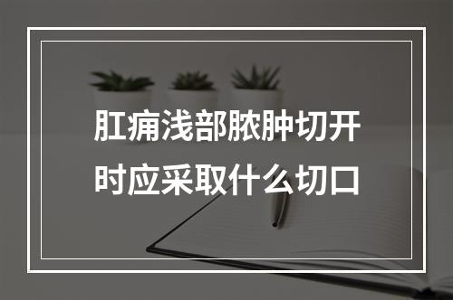 肛痈浅部脓肿切开时应采取什么切口