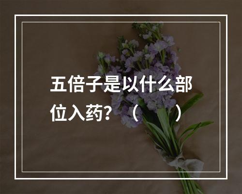 五倍子是以什么部位入药？（　　）