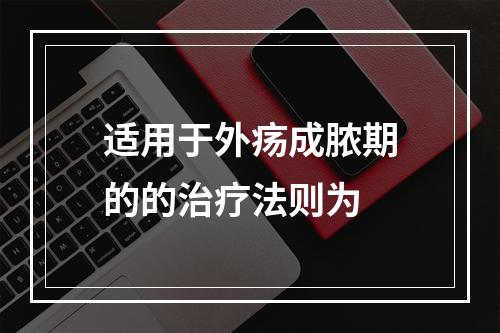 适用于外疡成脓期的的治疗法则为