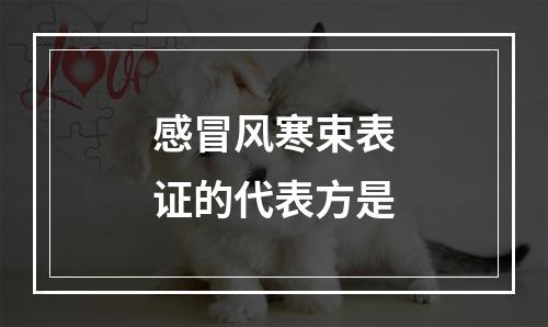 感冒风寒束表证的代表方是