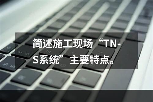 简述施工现场“TN-S系统”主要特点。