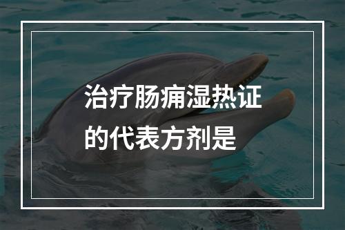 治疗肠痈湿热证的代表方剂是