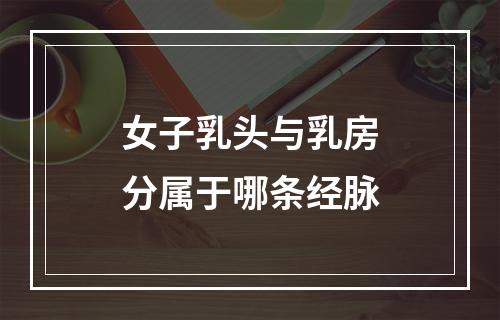 女子乳头与乳房分属于哪条经脉