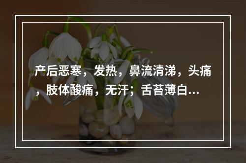 产后恶寒，发热，鼻流清涕，头痛，肢体酸痛，无汗；舌苔薄白，脉