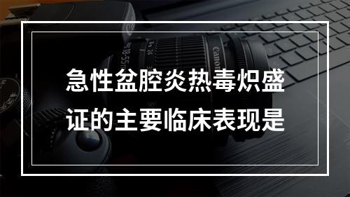 急性盆腔炎热毒炽盛证的主要临床表现是