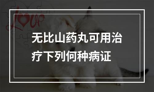 无比山药丸可用治疗下列何种病证