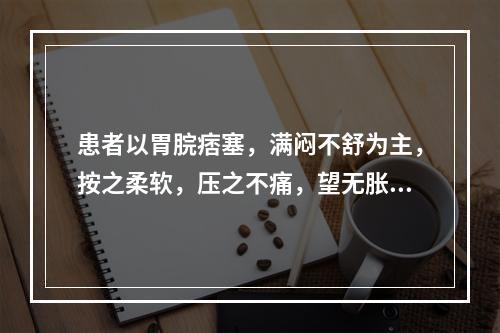 患者以胃脘痞塞，满闷不舒为主，按之柔软，压之不痛，望无胀形。