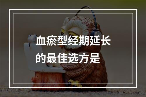 血瘀型经期延长的最佳选方是