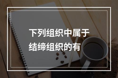 下列组织中属于结缔组织的有