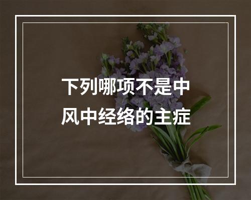 下列哪项不是中风中经络的主症