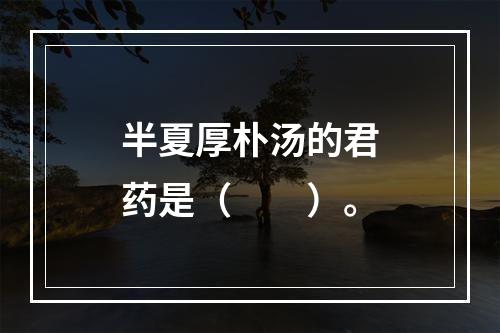 半夏厚朴汤的君药是（　　）。