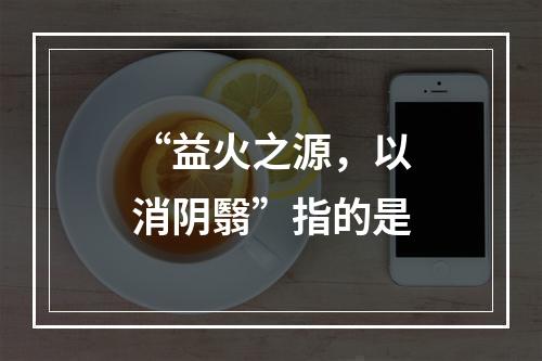 “益火之源，以消阴翳”指的是