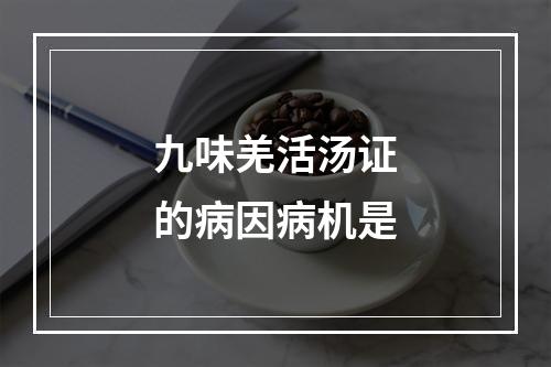 九味羌活汤证的病因病机是