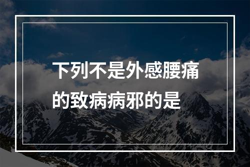 下列不是外感腰痛的致病病邪的是