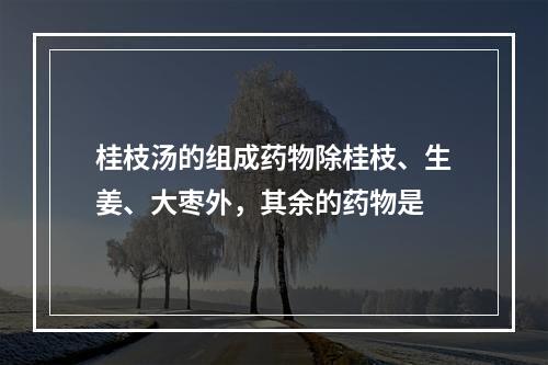 桂枝汤的组成药物除桂枝、生姜、大枣外，其余的药物是