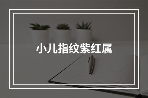 小儿指纹紫红属