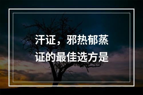 汗证，邪热郁蒸证的最佳选方是