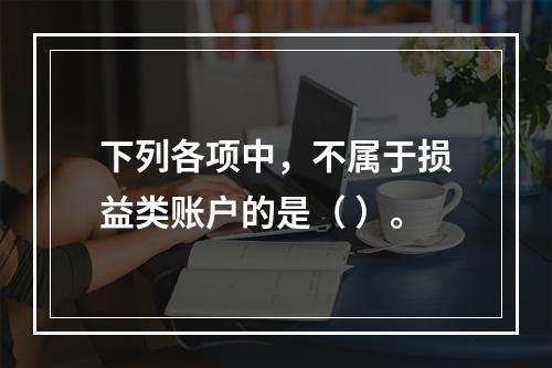 下列各项中，不属于损益类账户的是（ ）。