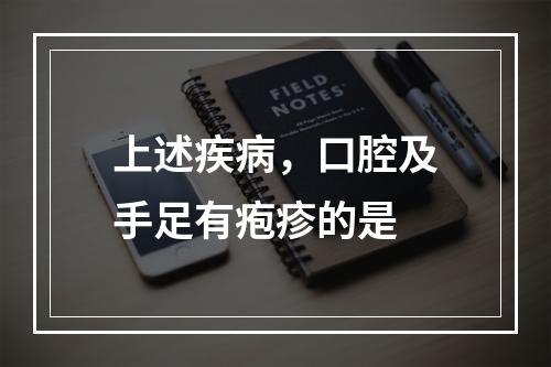 上述疾病，口腔及手足有疱疹的是