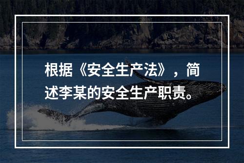 根据《安全生产法》，简述李某的安全生产职责。